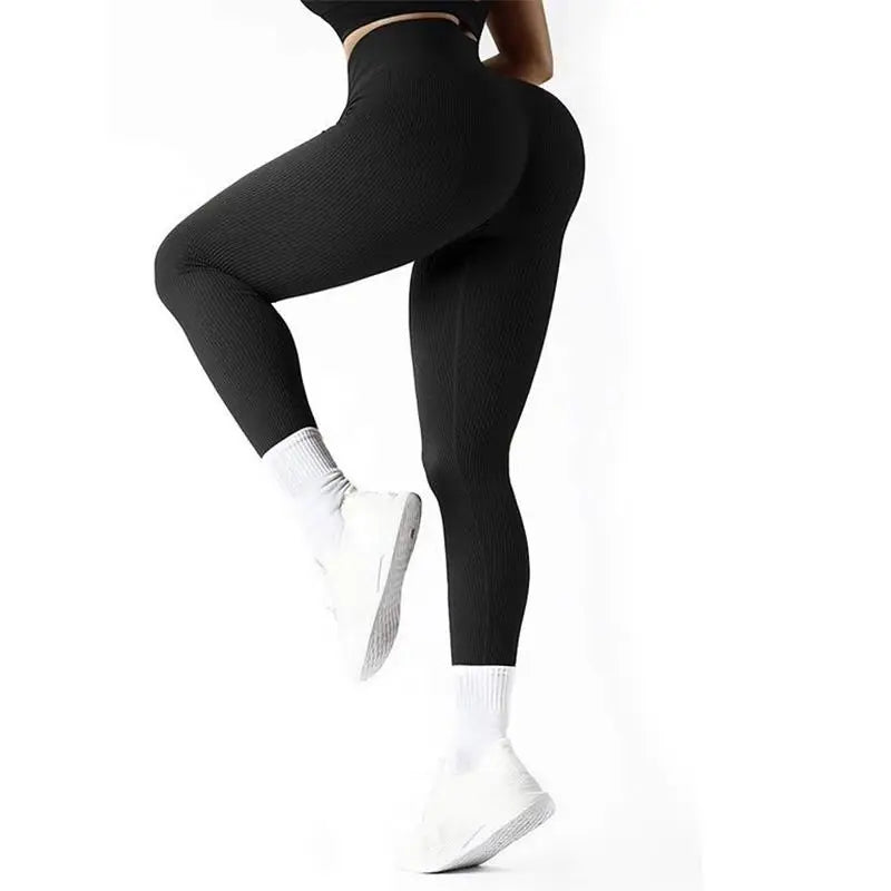 Women gym Pants
